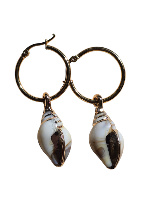 Earrings seashell