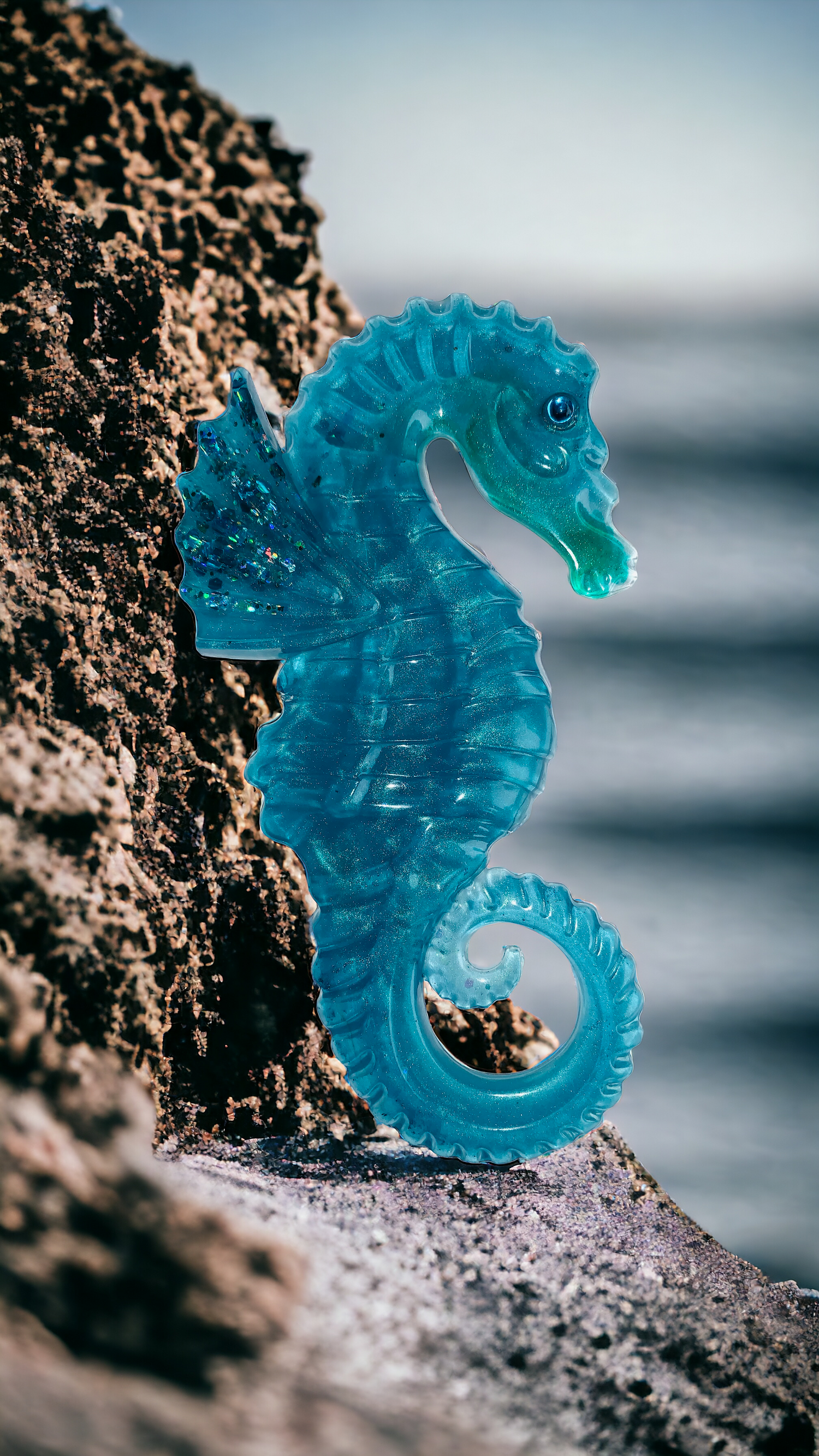 Seahorse Collection