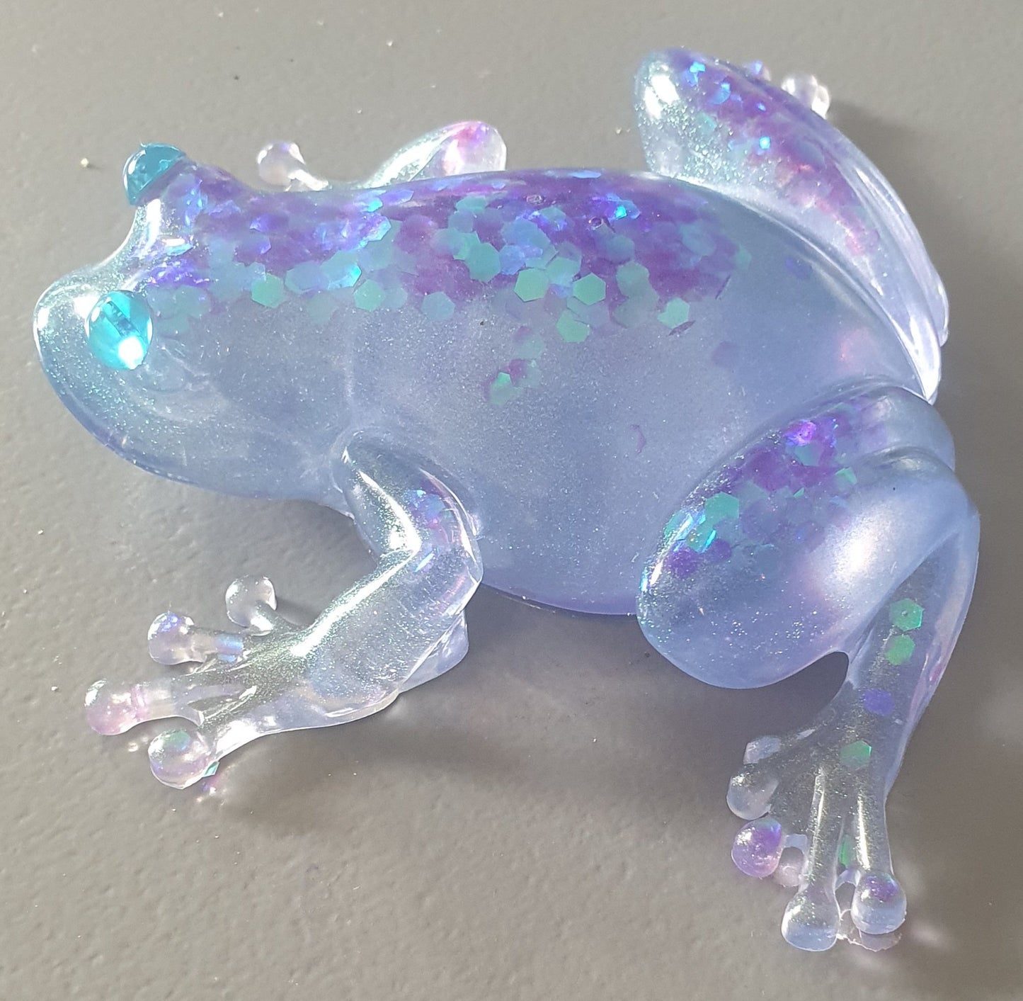 Frog chic blue& purple