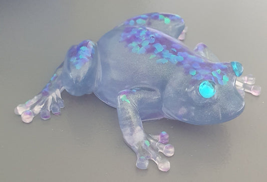 Frog chic blue& purple