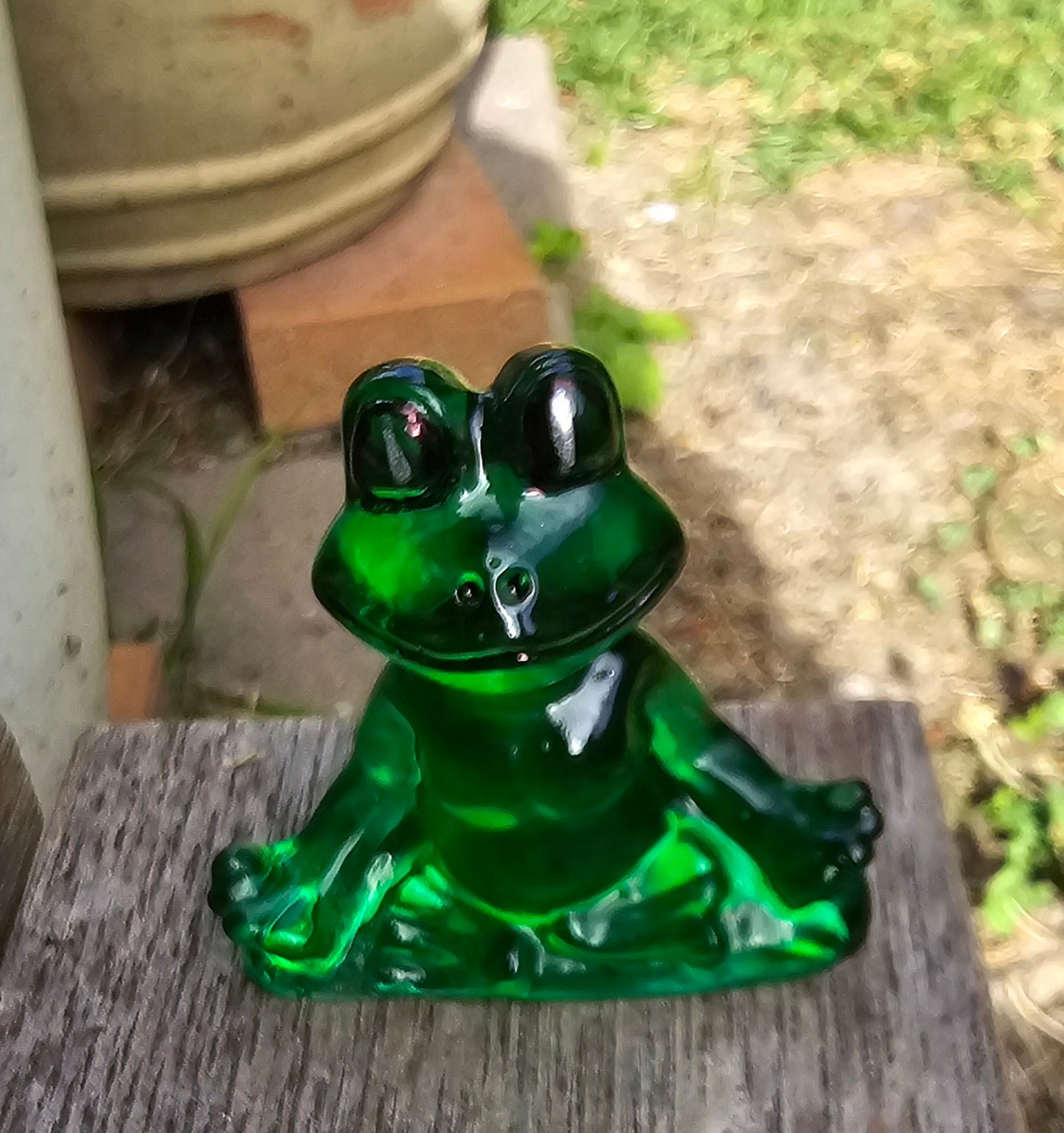 Frog meditating