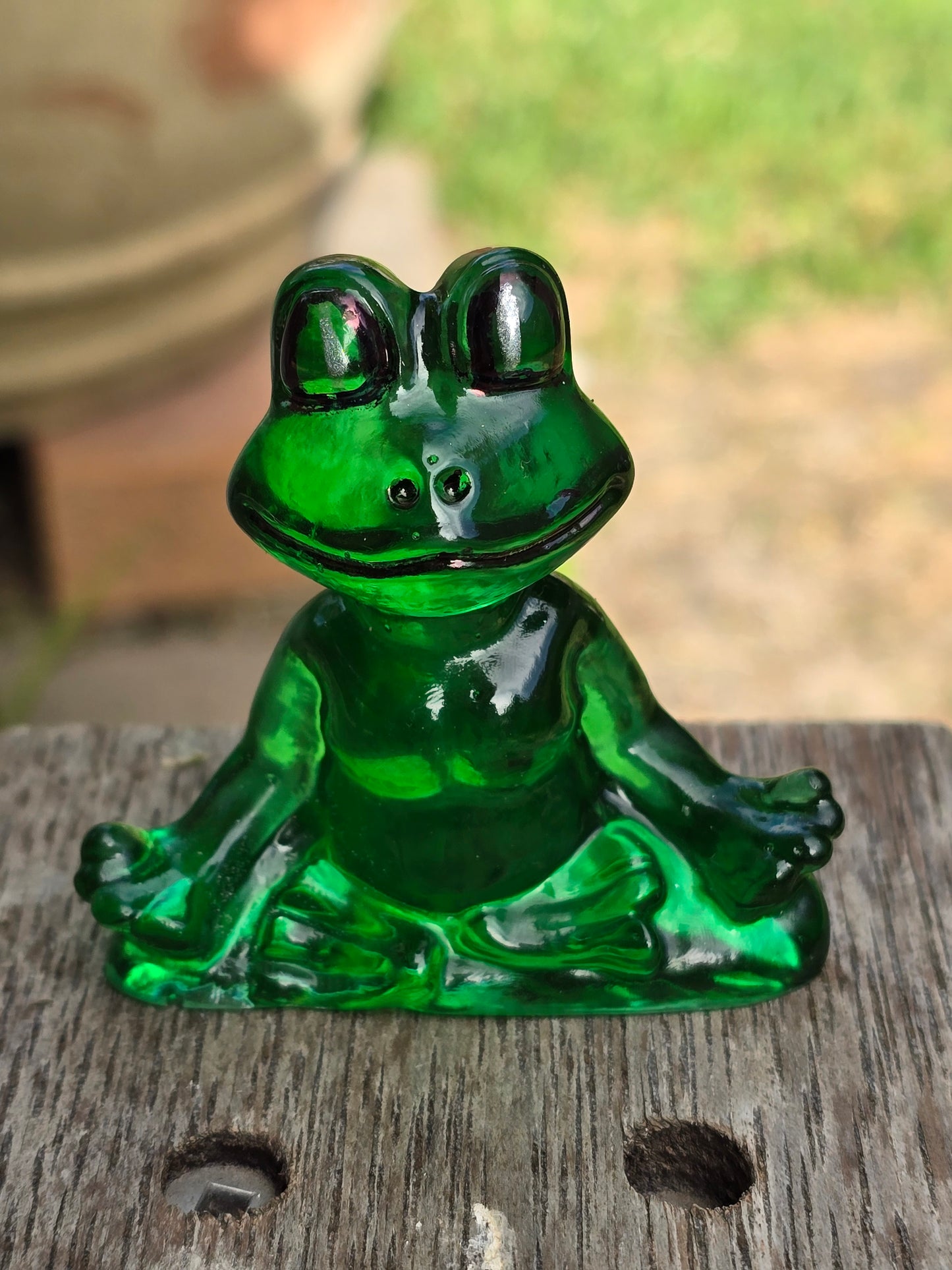 Frog meditating