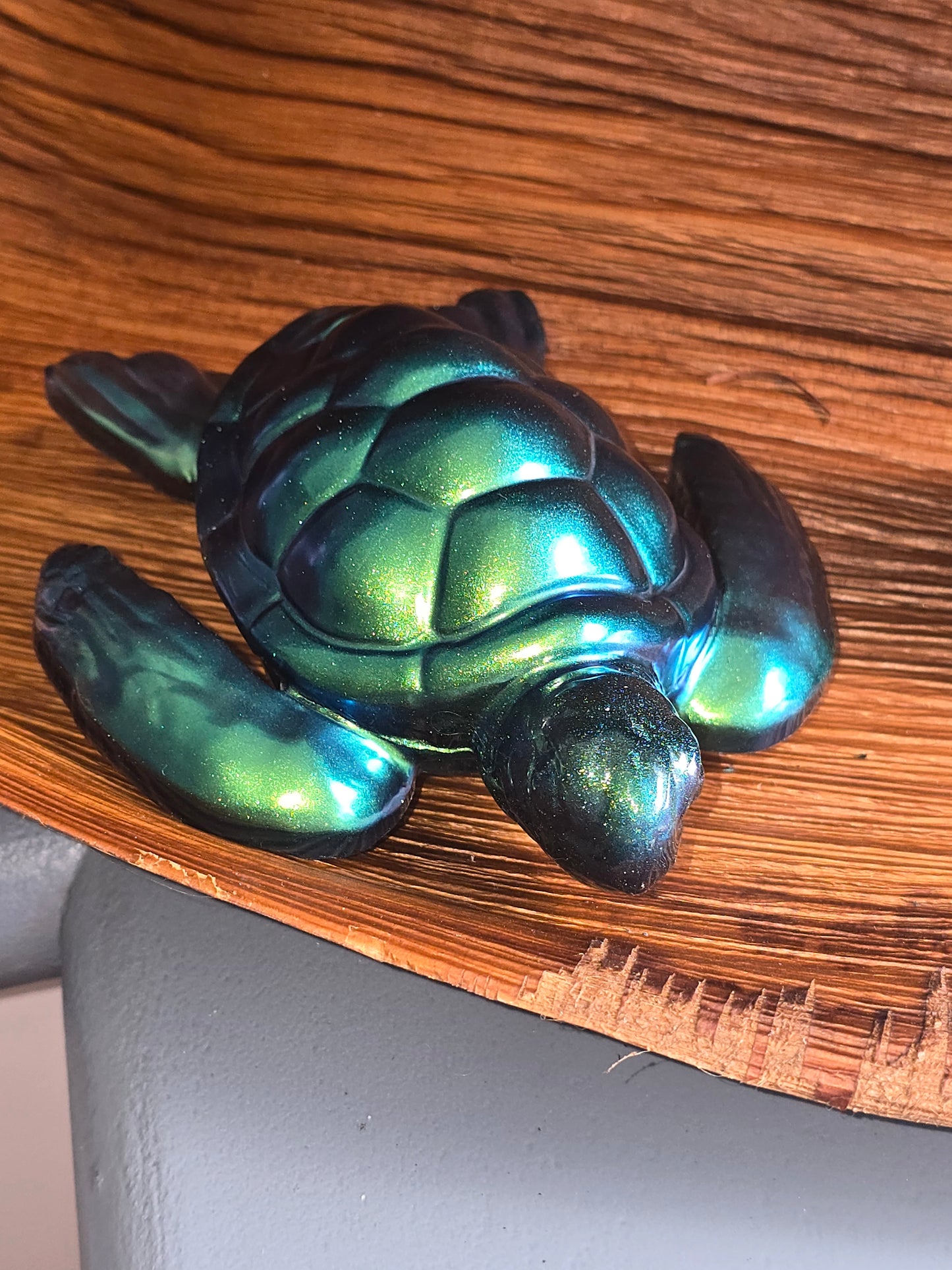 Turtle green, blue 13 x 14cm