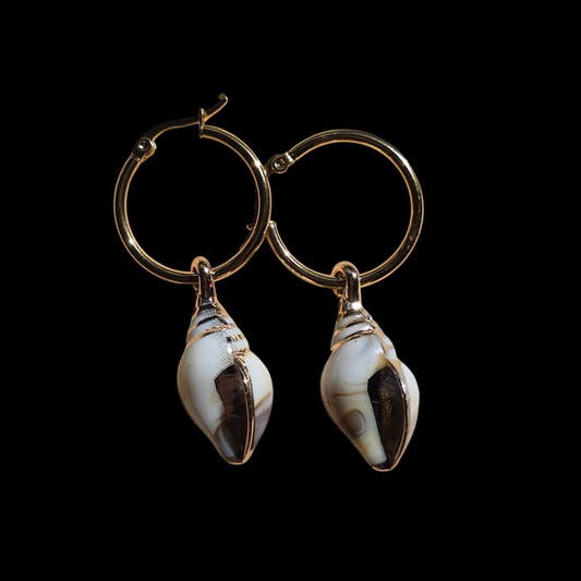 Earrings seashell