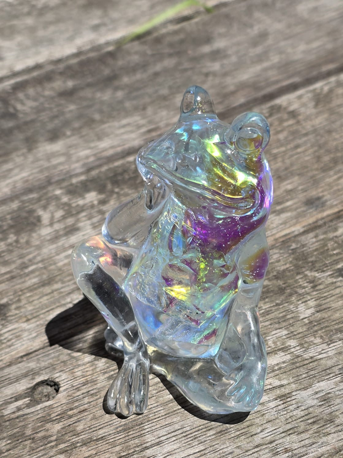 Holographic thinking Frog