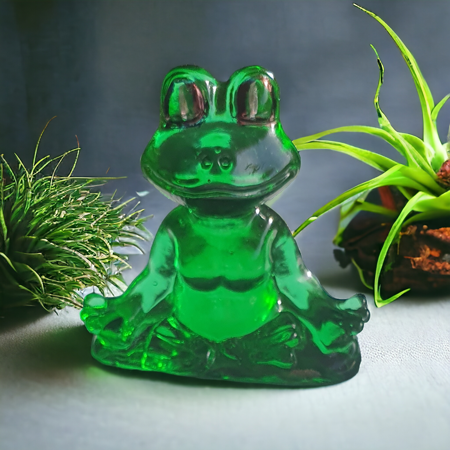 Frog meditating