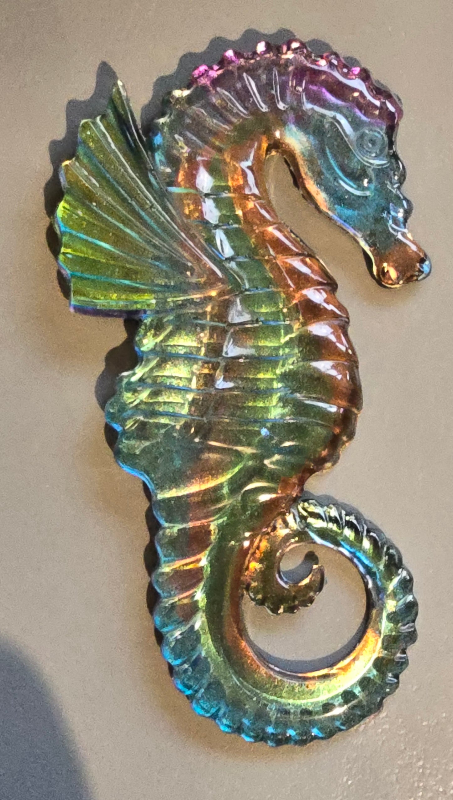 Seahorse