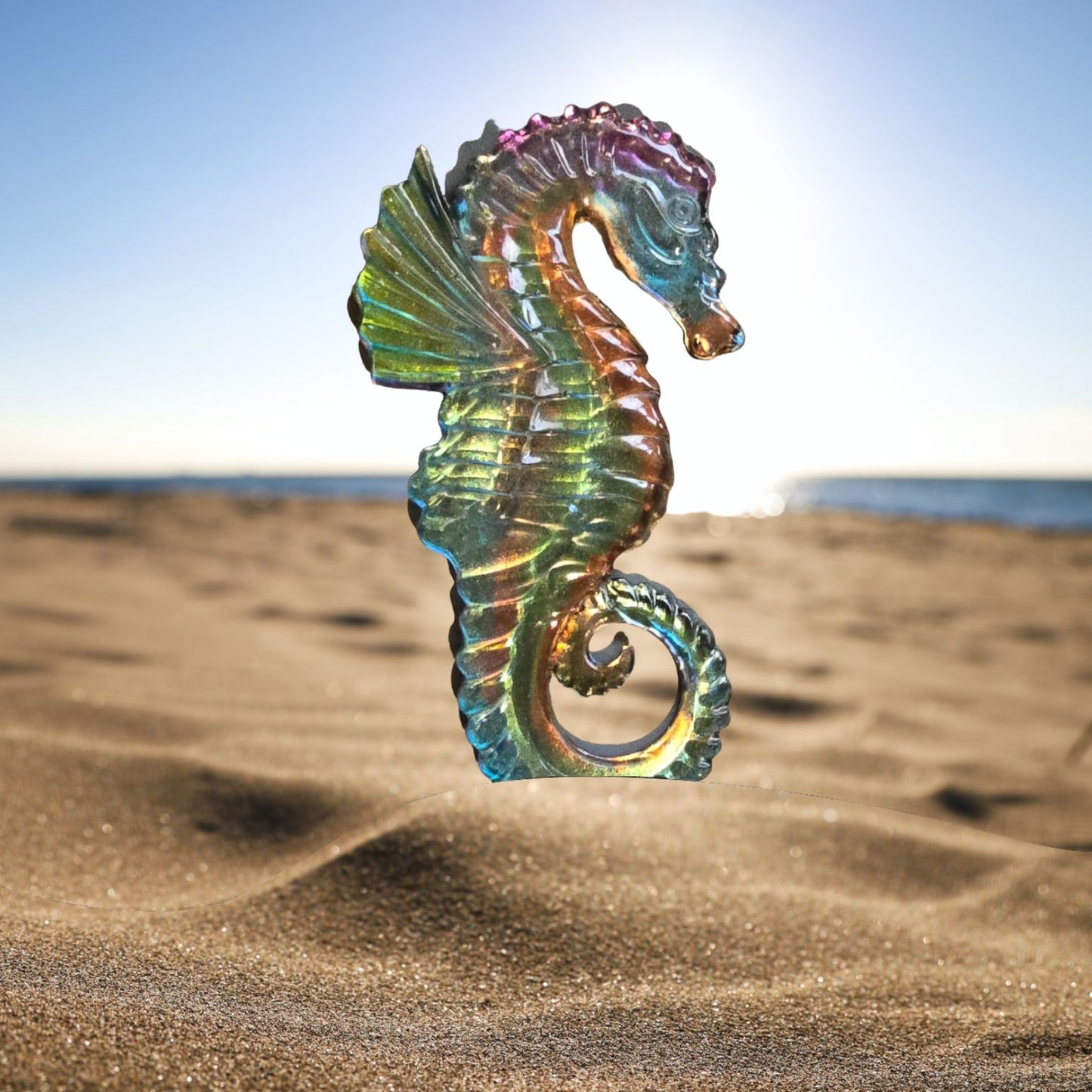 Seahorse